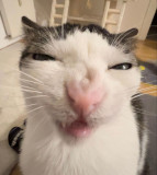Benutzeravatar