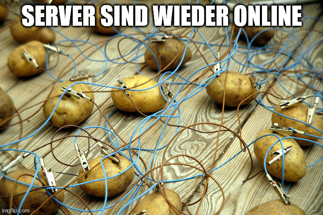 1111.jpg