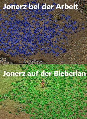 123.jpg