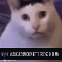9qm9hu.gif