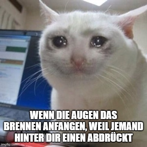 a81cun.jpg