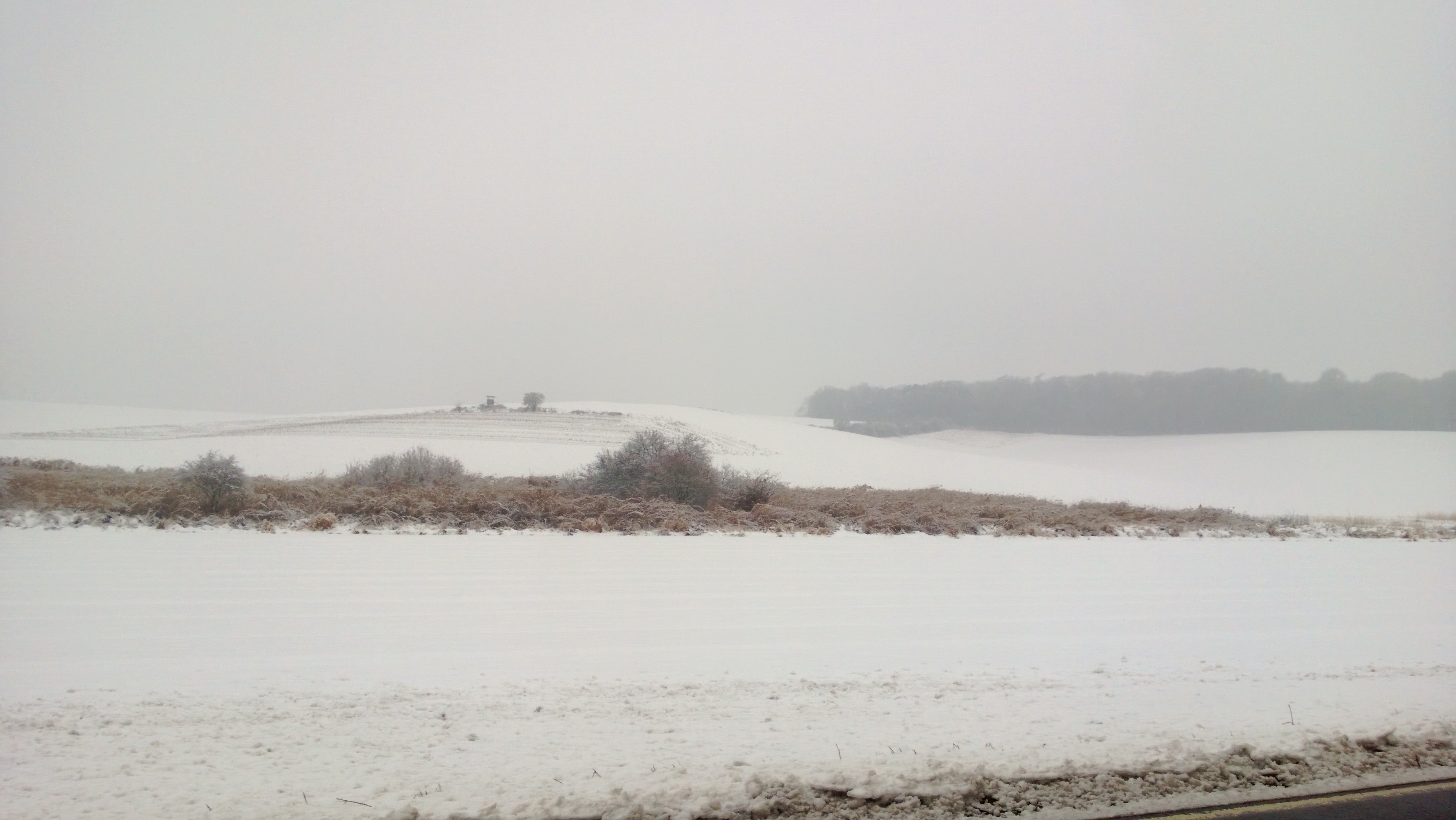 WP_20130122_001.jpg